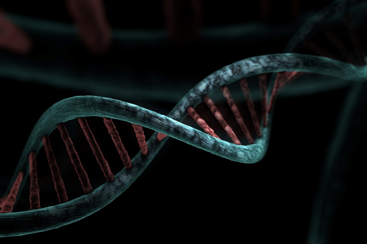 मानव अनुवांशिकी Human Genetic