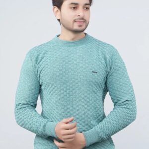 Men self design round neck green sweater