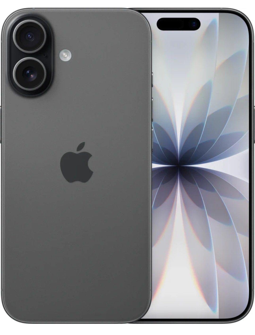 iPhone 17 (Apple) Black 256GB