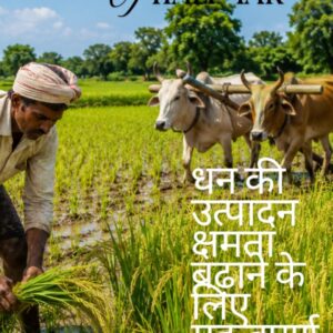 खेत से थाली तक// किसान अपनी उत्पादन की क्षमता को कैसे  बढ़ा रही है